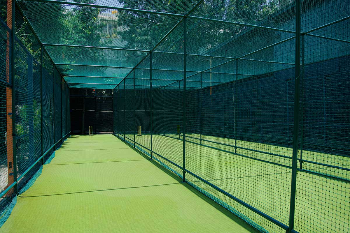 Cricket tree safety nets
